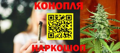 Альфа ПВП Керчь